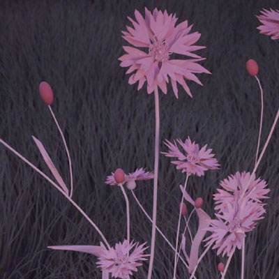 金年会体育登录入口