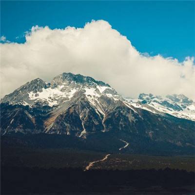 半岛·综合手机app下载