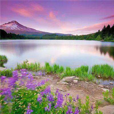 云开·全站APPkaiyun截图