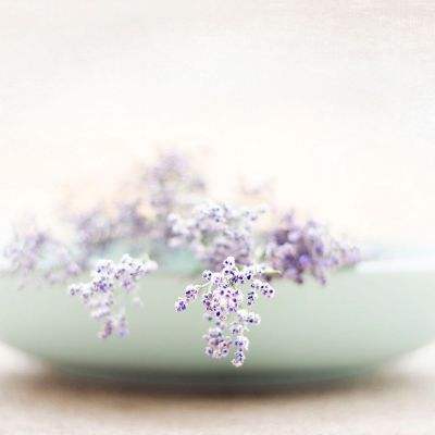 jn江南体育下载