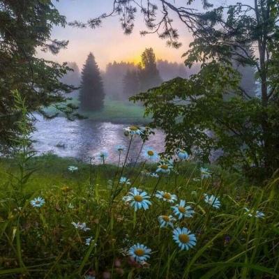 新澳门游戏网站入口手机app下载